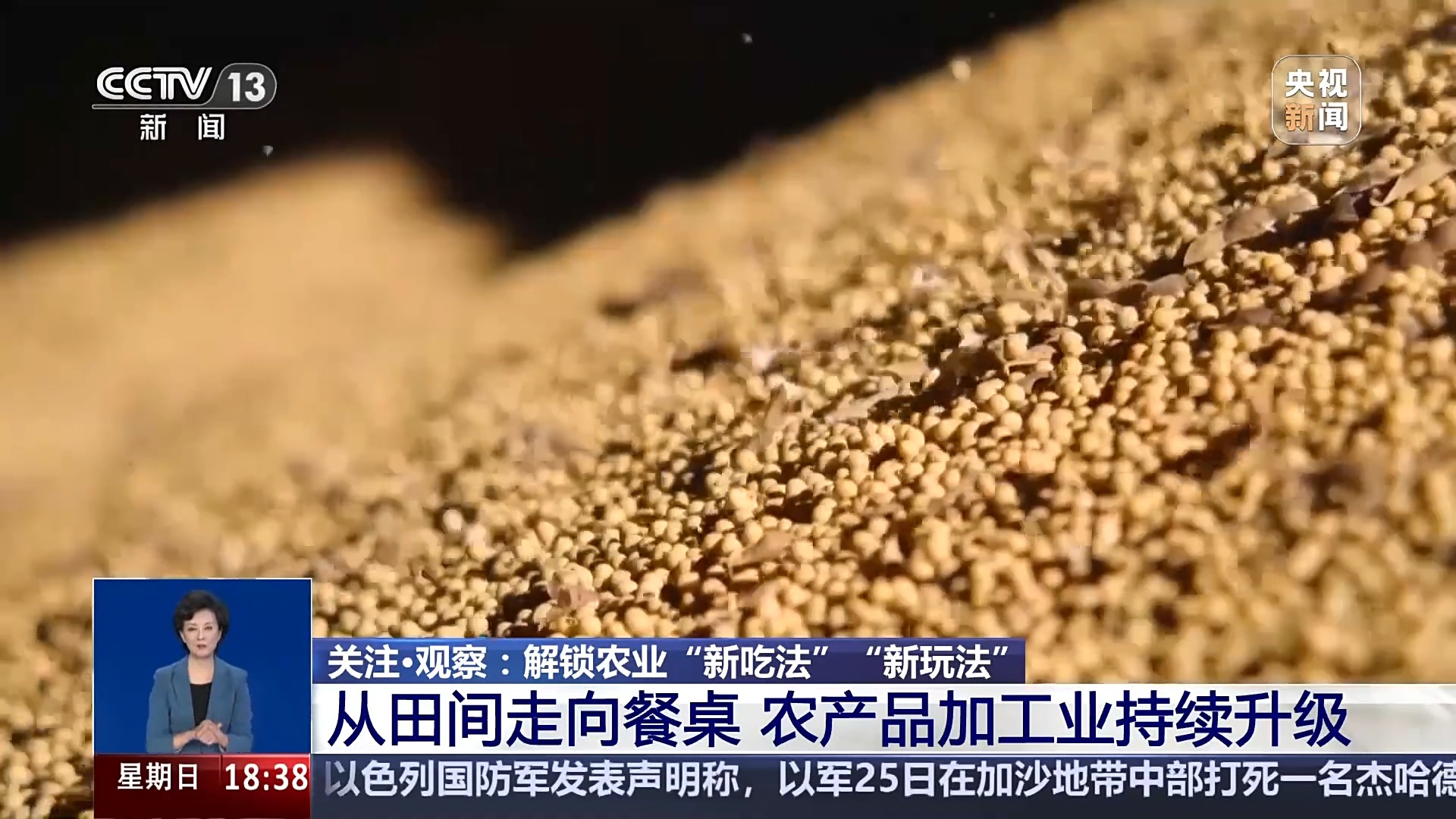 
天津肿瘤医院黄牛代挂号电话票贩子号贩子网上预约挂号,住院检查加快,从实验室、生产线到千里沃野 解锁农业“新吃法”“新玩法”