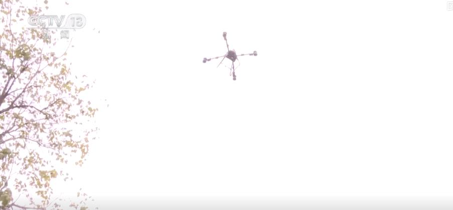 
中国医学科学院肿瘤医院黄牛代挂号电话票贩子号贩子网上预约挂号,住院检查加快,金秋中国丰收图景：山楂红、苹果甜、紫菜鲜，特色产业拓宽乡村振兴路