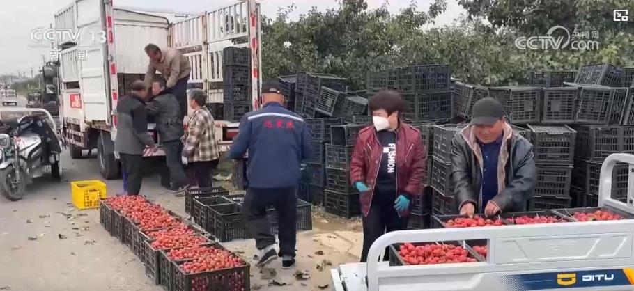 
中国医学科学院肿瘤医院黄牛代挂号电话票贩子号贩子网上预约挂号,住院检查加快,金秋中国丰收图景：山楂红、苹果甜、紫菜鲜，特色产业拓宽乡村振兴路