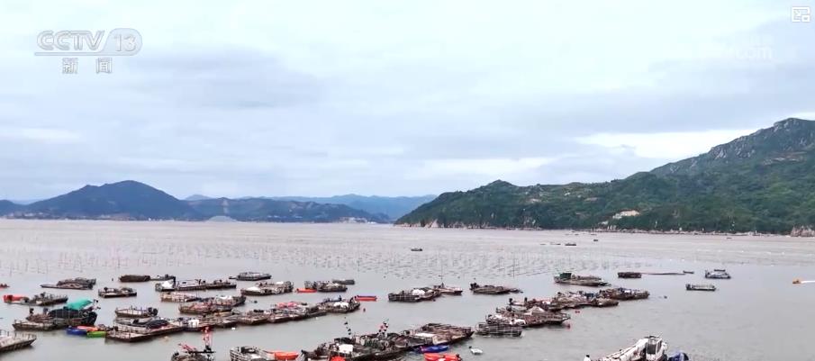 
中国医学科学院肿瘤医院黄牛代挂号电话票贩子号贩子网上预约挂号,住院检查加快,金秋中国丰收图景：山楂红、苹果甜、紫菜鲜，特色产业拓宽乡村振兴路