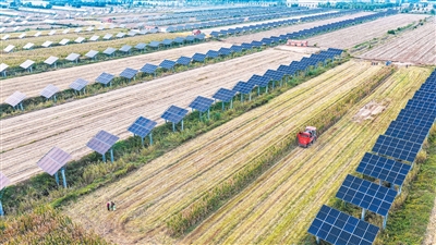 
北京世纪坛医院黄牛代挂号电话票贩子号贩子网上预约挂号,住院检查加快,农业经济形势稳中向好（锐财经）