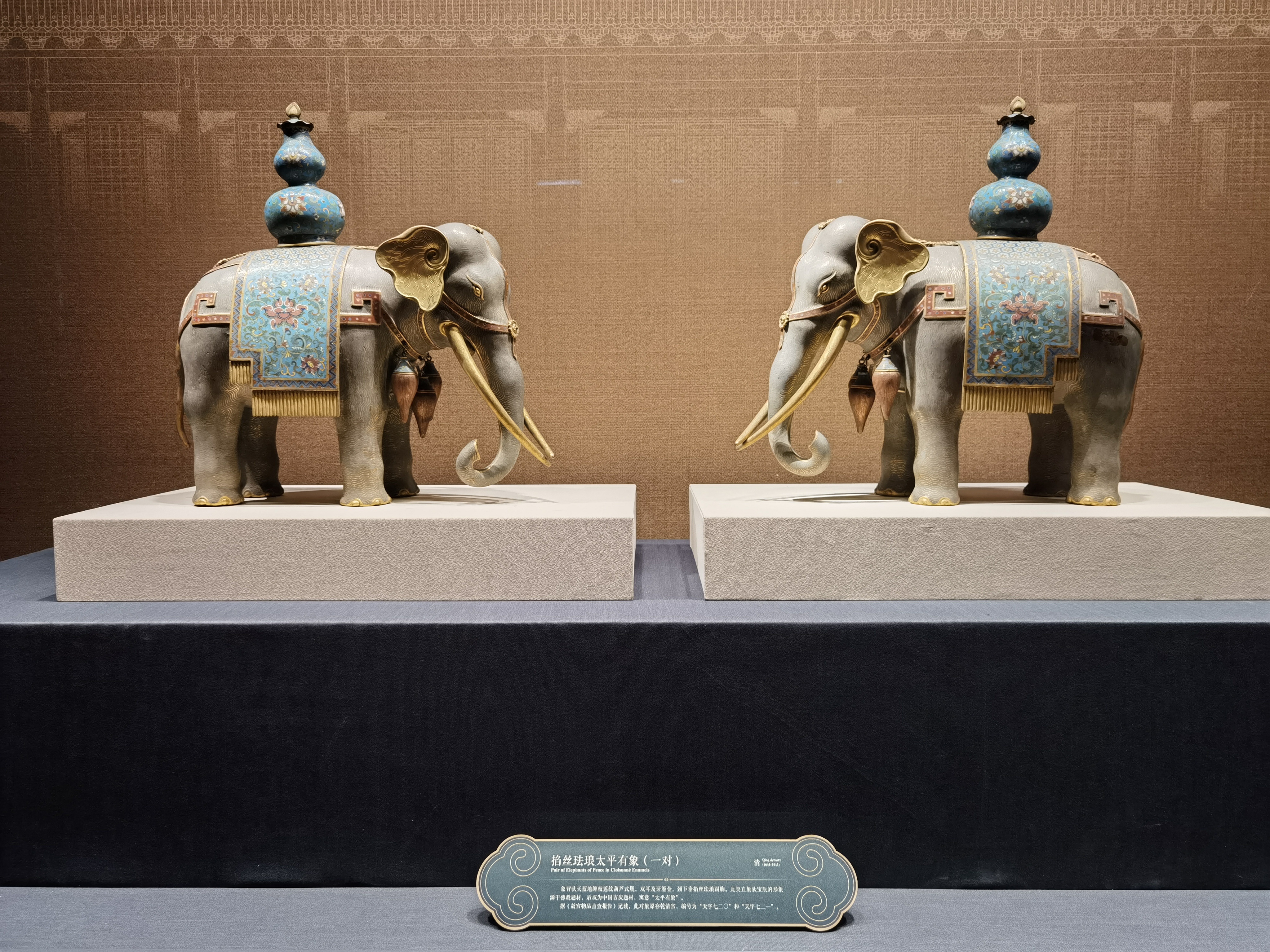 
北京大学第六医院黄牛代挂号电话票贩子号贩子网上预约挂号,住院检查加快,鉴往知来，跟着总书记学历史丨让中华文明瑰宝永续留存、泽惠后人