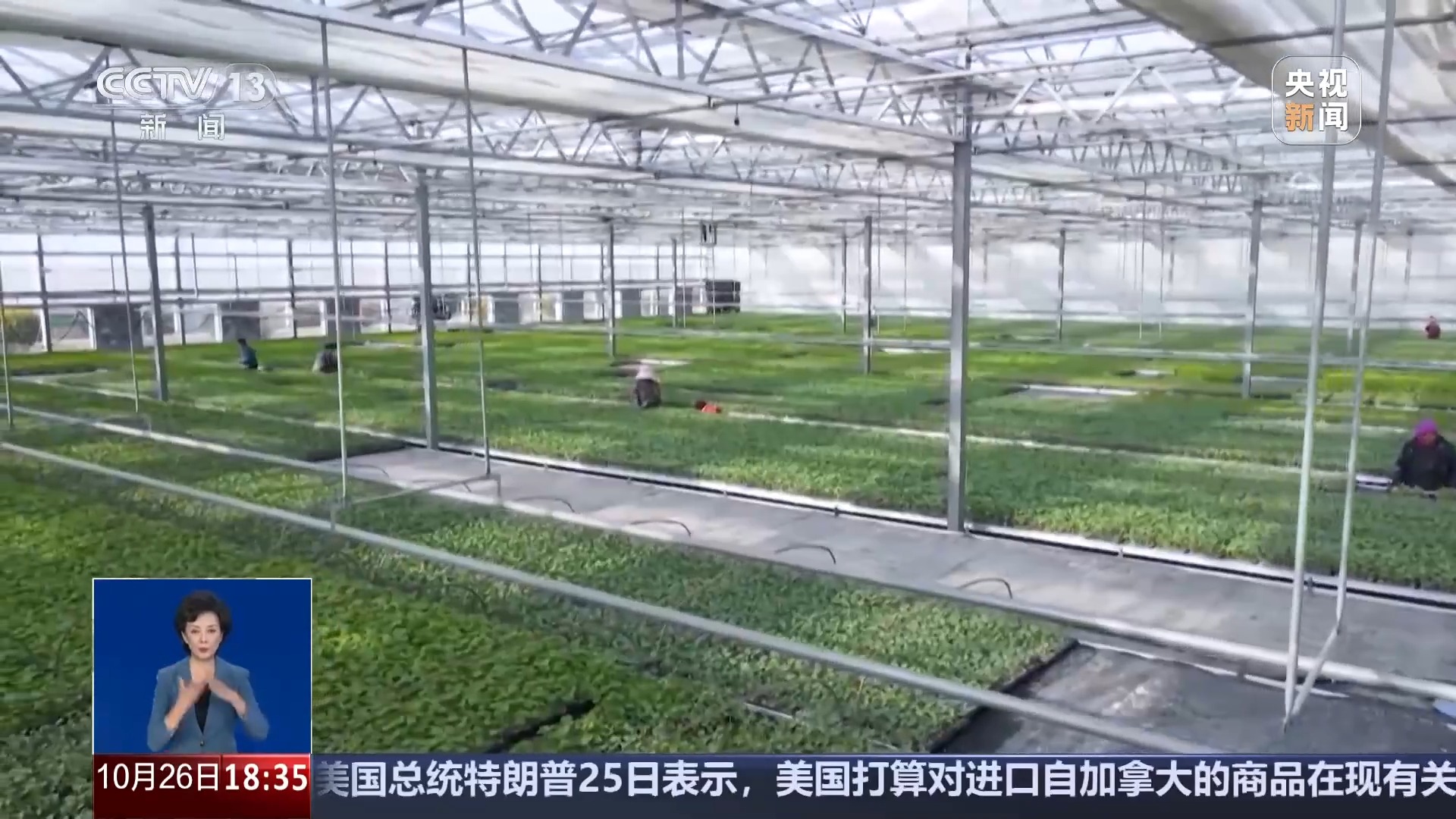 
天津肿瘤医院黄牛代挂号电话票贩子号贩子网上预约挂号,住院检查加快,从实验室、生产线到千里沃野 解锁农业“新吃法”“新玩法”