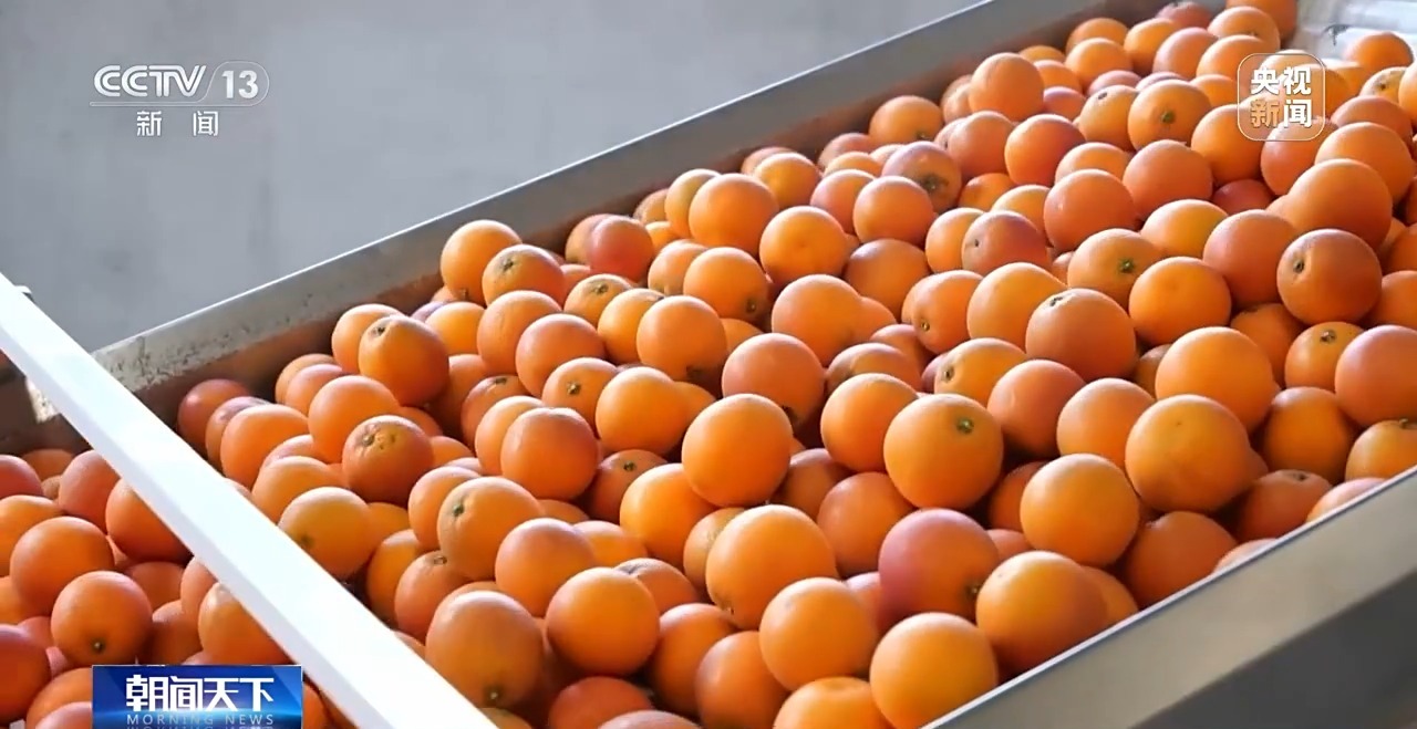 
北京301医院黄牛代挂号电话票贩子号贩子网上预约挂号,住院检查加快,视频丨总需求量超1.17亿吨！冷链助力果蔬“鲜”上餐桌