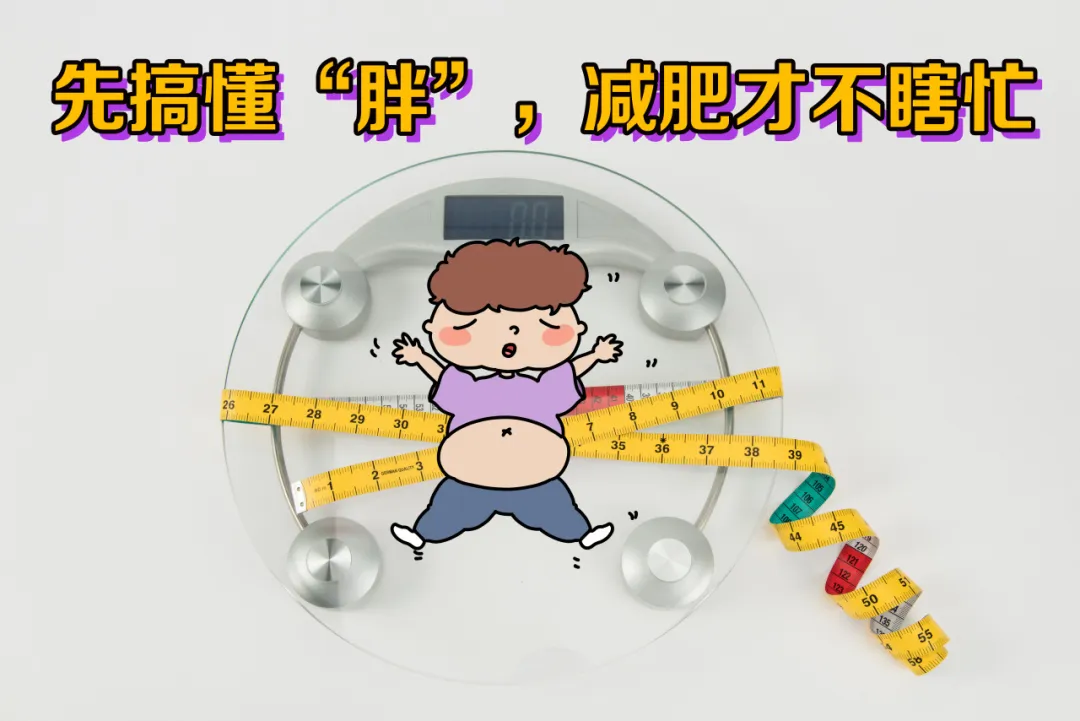 
南京市中医院黄牛代挂号电话票贩子号贩子网上预约挂号,住院检查加快,减肥真的没那么难！国家背书的“健康体重管理百科”刷3遍，我终于瘦了！ | 科学减重一起来