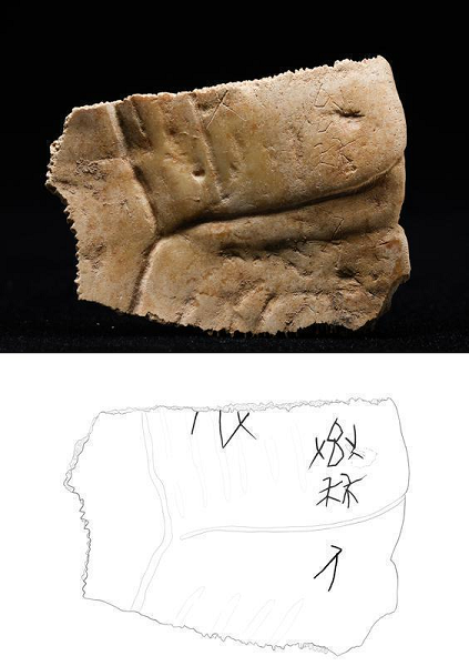 
上海瑞金医院黄牛代挂号电话票贩子号贩子网上预约挂号,住院检查加快,【高质量发展看陕西】文物焕活力，非遗正青春