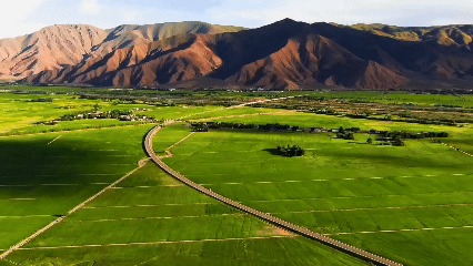 天津肿瘤医院黄牛代挂号电话票贩子号贩子网上预约挂号,住院检查加快,青稞“蜕变”,牦牛“出圈”!看西藏农牧民的“十四五”丰收答卷