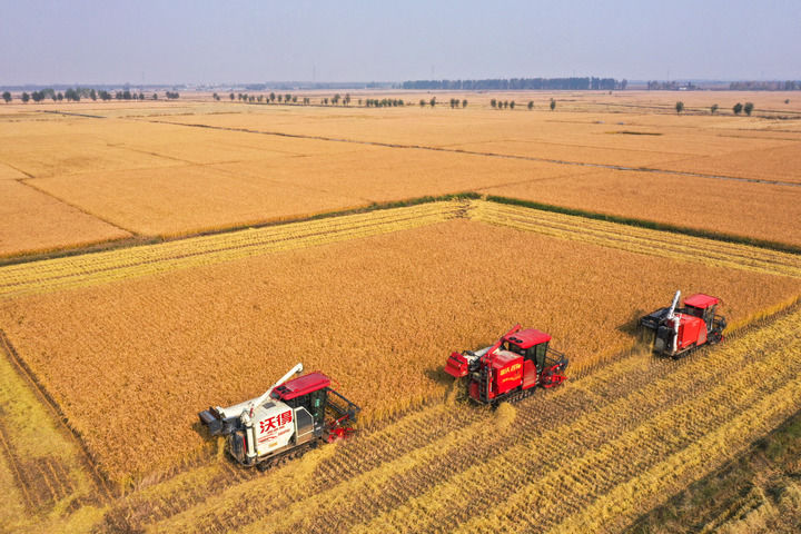
天津各大医院黄牛代挂号电话票贩子号贩子网上预约挂号,住院检查加快,接续奋斗向未来——各地干部群众在四中全会精神指引下奋力拼搏谱新篇
