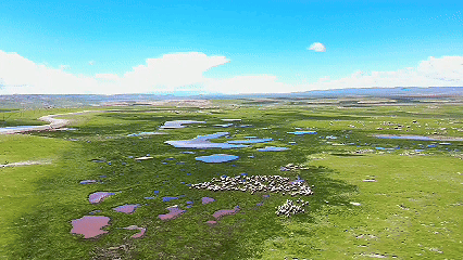 天津肿瘤医院黄牛代挂号电话票贩子号贩子网上预约挂号,住院检查加快,青稞“蜕变”,牦牛“出圈”!看西藏农牧民的“十四五”丰收答卷