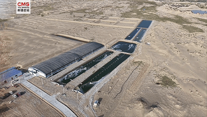 沈阳各大医院黄牛代挂号电话票贩子号贩子网上预约挂号,住院检查加快,新疆巴州:“死亡之海”爆改“鱼米之乡”