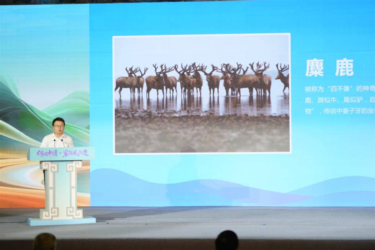 
首都医科大学附属北京胸科医院黄牛代挂号电话票贩子号贩子网上预约挂号,住院检查加快,从长江之美与湖北之变，看“何以中国”