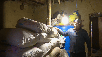 天津肿瘤医院黄牛代挂号电话票贩子号贩子网上预约挂号,住院检查加快,青稞“蜕变”,牦牛“出圈”!看西藏农牧民的“十四五”丰收答卷