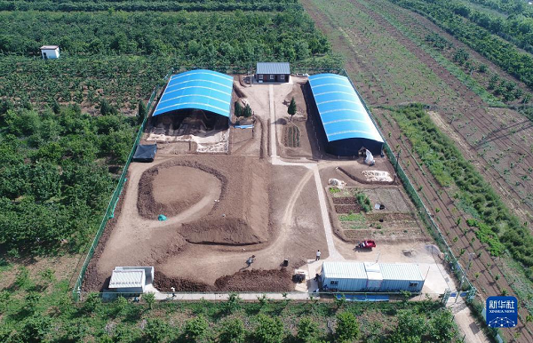 
上海瑞金医院黄牛代挂号电话票贩子号贩子网上预约挂号,住院检查加快,【高质量发展看陕西】文物焕活力，非遗正青春