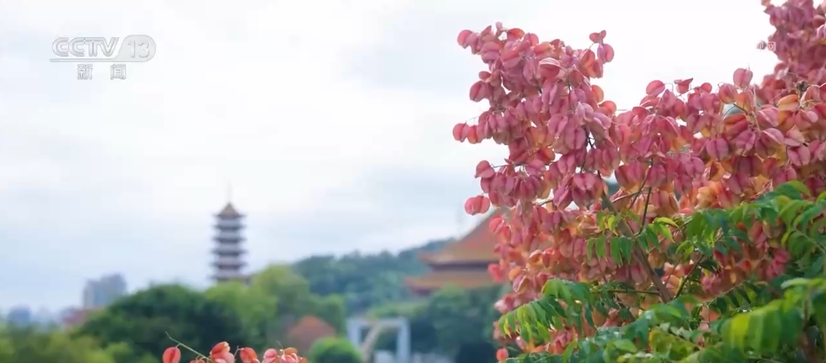 
南京明基医院黄牛代挂号电话票贩子号贩子网上预约挂号,住院检查加快,各地迎来秋日“限定版”美景 “文旅+”新场景新业态激发“赏秋经济”活力