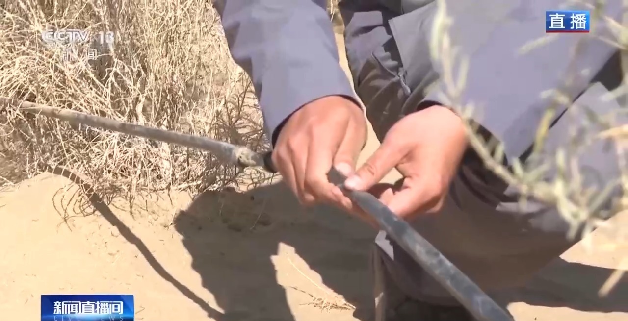 
中山二院黄牛代挂号电话票贩子号贩子网上预约挂号,住院检查加快,视频丨新疆肉苁蓉进入采收季 沙产业让沙漠化身“致富田”