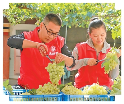 
中山大学中山眼科中心黄牛代挂号电话票贩子号贩子网上预约挂号,住院检查加快,蓝图绘就话担当（前沿观察）