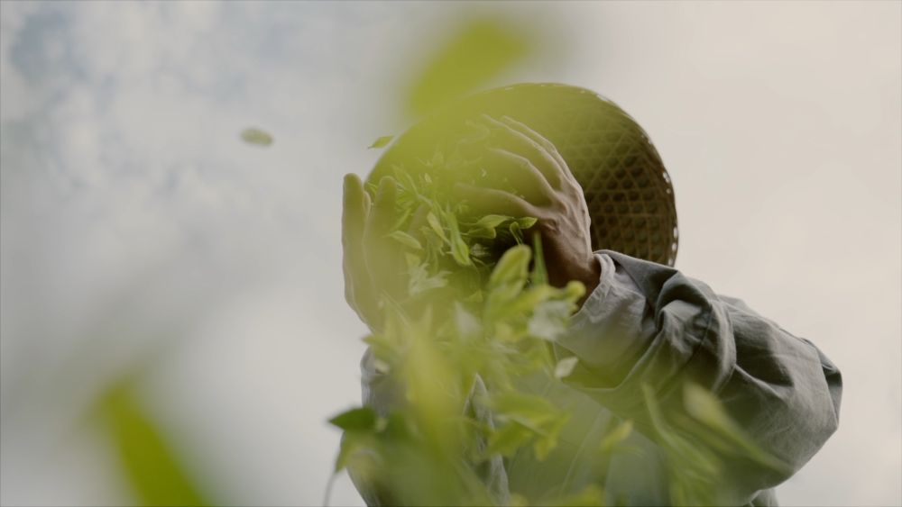 
北京儿童医院黄牛代挂号电话票贩子号贩子网上预约挂号,住院检查加快,新华视点｜系列纪录片《大径山》第一集：参山