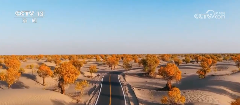 
南京明基医院黄牛代挂号电话票贩子号贩子网上预约挂号,住院检查加快,各地迎来秋日“限定版”美景 “文旅+”新场景新业态激发“赏秋经济”活力