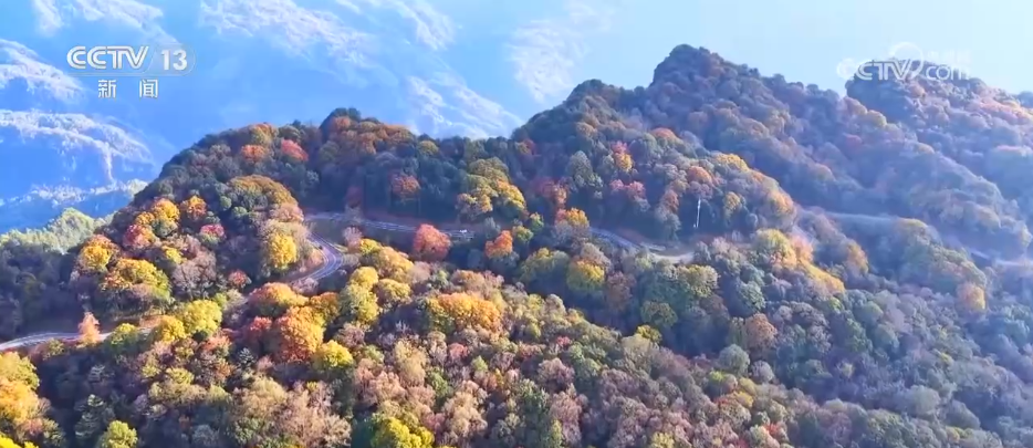 
南京明基医院黄牛代挂号电话票贩子号贩子网上预约挂号,住院检查加快,各地迎来秋日“限定版”美景 “文旅+”新场景新业态激发“赏秋经济”活力