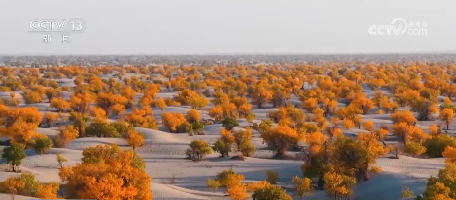 
南京明基医院黄牛代挂号电话票贩子号贩子网上预约挂号,住院检查加快,各地迎来秋日“限定版”美景 “文旅+”新场景新业态激发“赏秋经济”活力