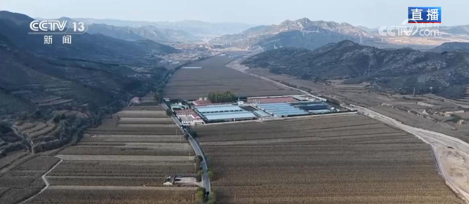 北京儿童医院黄牛代挂号电话票贩子号贩子网上预约挂号,住院检查加快,丰收背后尽显“科技范儿” 希望的田野绘就产业兴旺“振兴图”