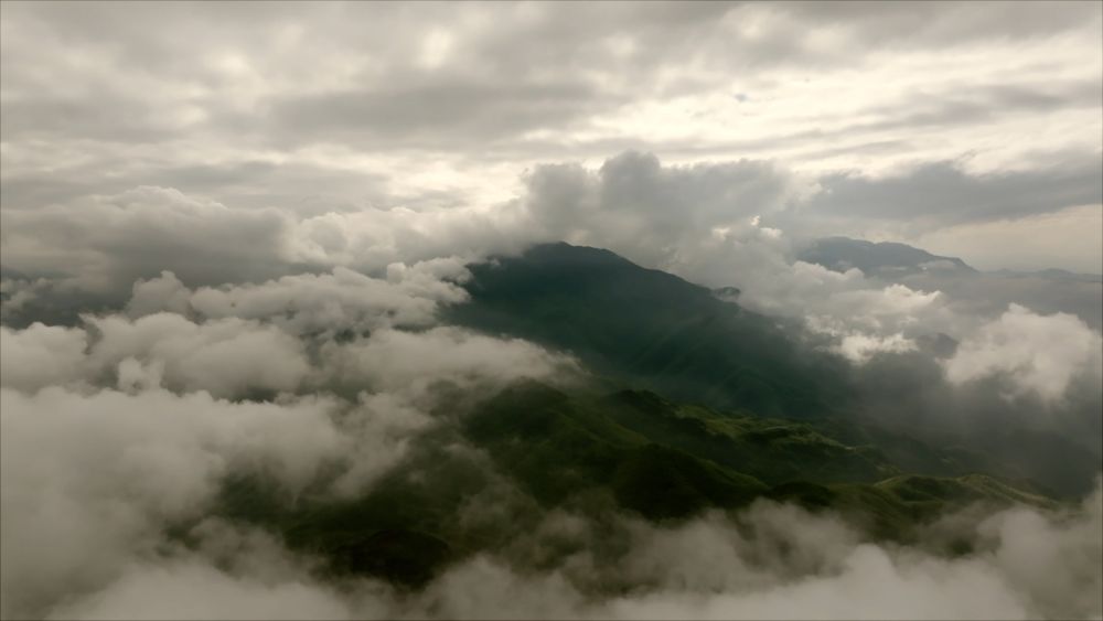 
北京儿童医院黄牛代挂号电话票贩子号贩子网上预约挂号,住院检查加快,新华视点｜系列纪录片《大径山》第一集：参山