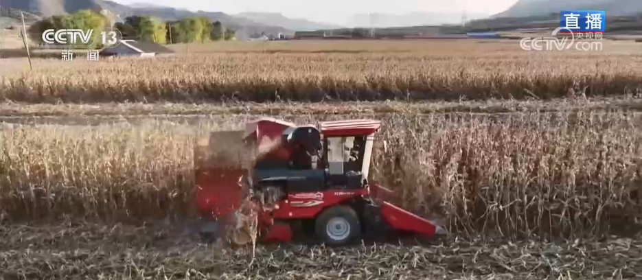 北京儿童医院黄牛代挂号电话票贩子号贩子网上预约挂号,住院检查加快,丰收背后尽显“科技范儿” 希望的田野绘就产业兴旺“振兴图”