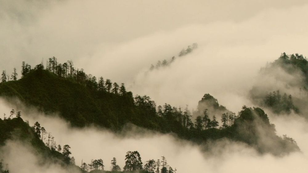 
北京儿童医院黄牛代挂号电话票贩子号贩子网上预约挂号,住院检查加快,新华视点｜系列纪录片《大径山》第一集：参山