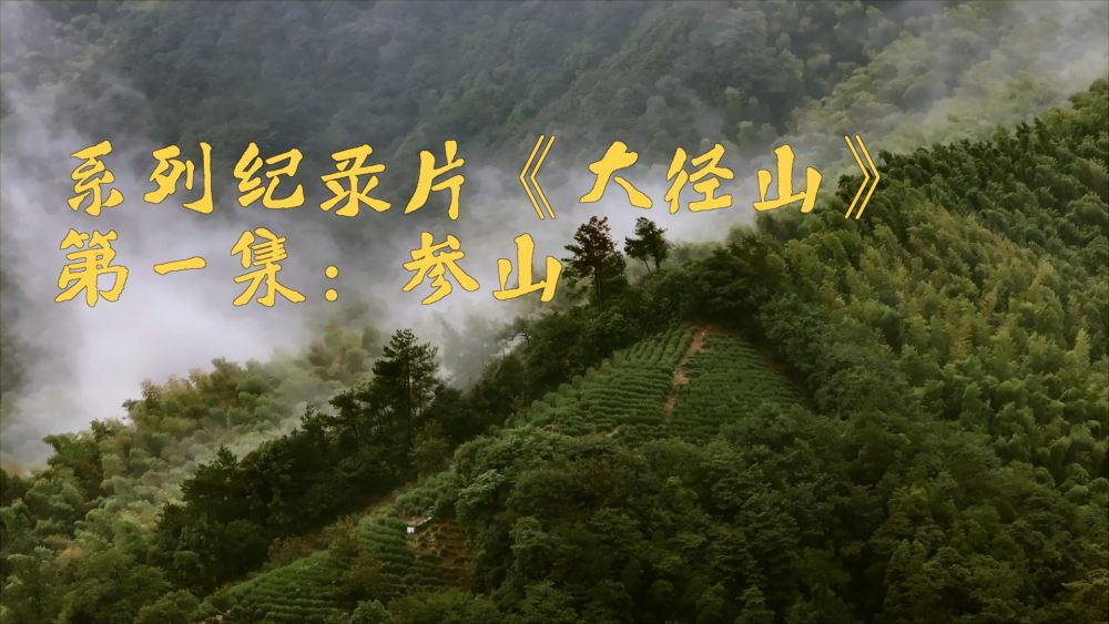 
北京儿童医院黄牛代挂号电话票贩子号贩子网上预约挂号,住院检查加快,新华视点｜系列纪录片《大径山》第一集：参山