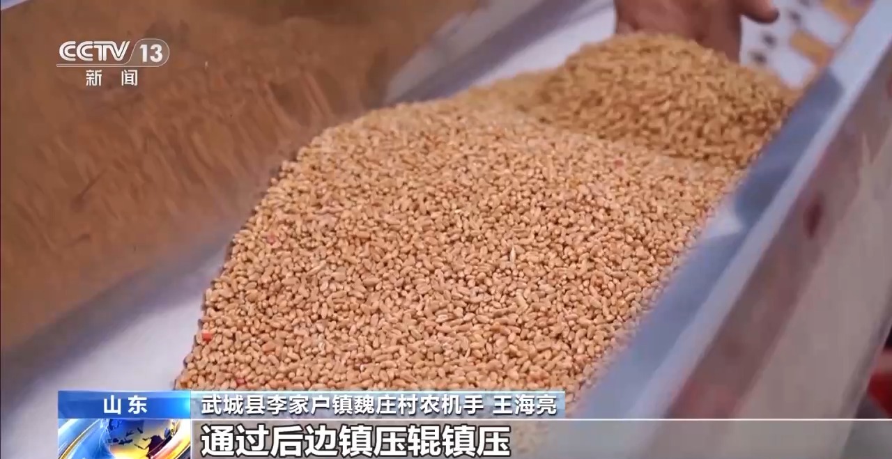 
中山大学孙逸仙纪念医院黄牛代挂号电话票贩子号贩子网上预约挂号,住院检查加快,视频丨全国秋粮收获已过八成半 冬小麦播种加快推进