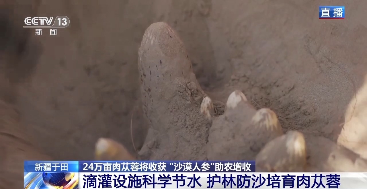 
中山二院黄牛代挂号电话票贩子号贩子网上预约挂号,住院检查加快,视频丨新疆肉苁蓉进入采收季 沙产业让沙漠化身“致富田”