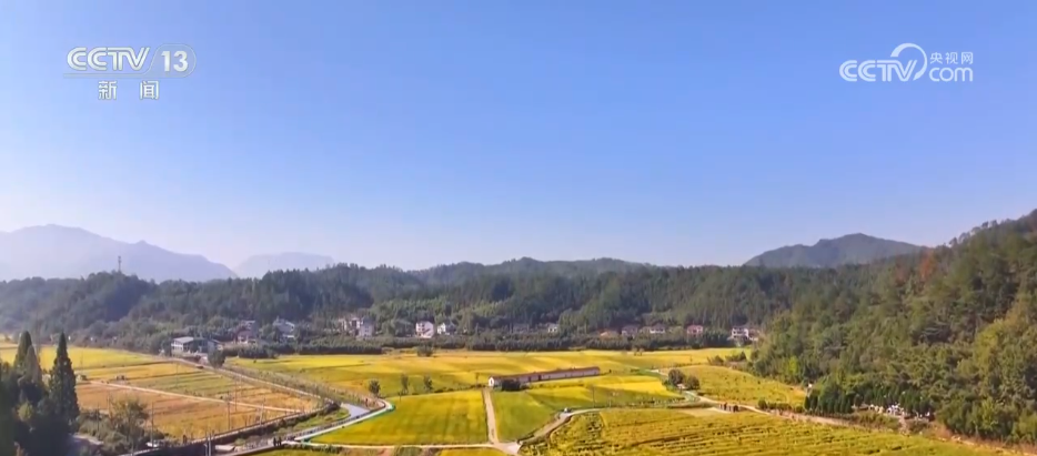 北京儿童医院黄牛代挂号电话票贩子号贩子网上预约挂号,住院检查加快,丰收背后尽显“科技范儿” 希望的田野绘就产业兴旺“振兴图”