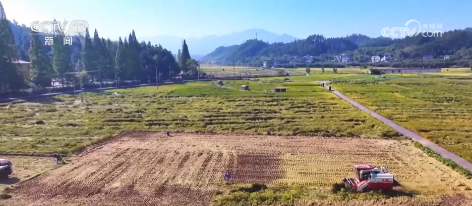 北京儿童医院黄牛代挂号电话票贩子号贩子网上预约挂号,住院检查加快,丰收背后尽显“科技范儿” 希望的田野绘就产业兴旺“振兴图”