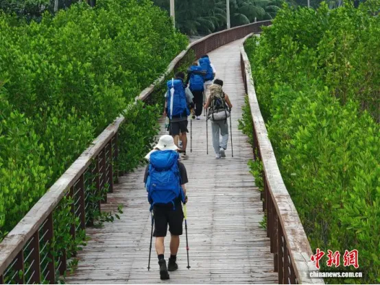 
江苏省中医院黄牛代挂号电话票贩子号贩子网上预约挂号,住院检查加快,人这一辈子，一定要去一趟海南自贸港！