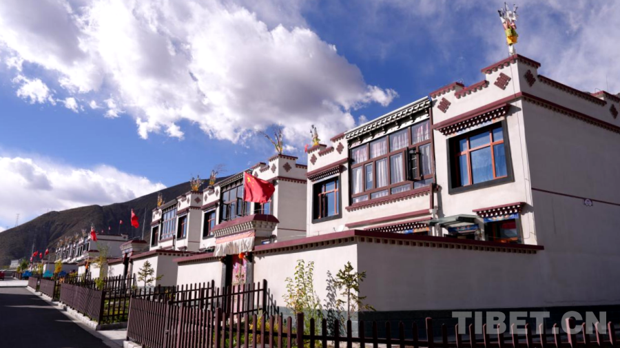 天津各大医院黄牛代挂号电话票贩子号贩子网上预约挂号,住院检查加快,西藏山南:乡村美 生活暖