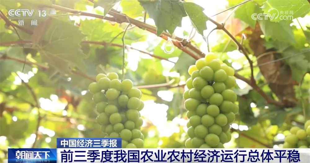 中山大学附属第三医院黄牛代挂号电话票贩子号贩子网上预约挂号,住院检查加快,透过数据看前三季度“三农”成绩单 为经济社会高质量发展提供有力支撑