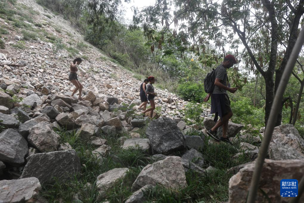 浙江省同德医院黄牛代挂号电话票贩子号贩子网上预约挂号,住院检查加快,巴西里约警方剿匪行动共打死117名嫌疑人
