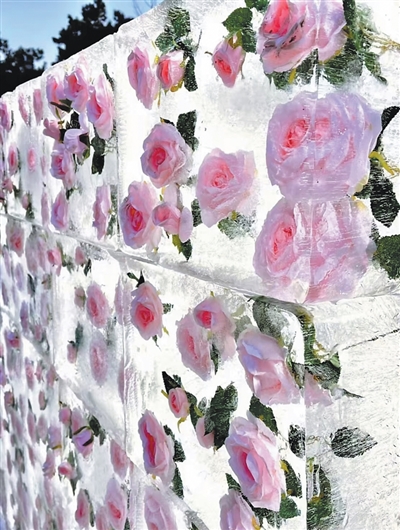 
北医六院黄牛代挂号电话票贩子号贩子网上预约挂号,住院检查加快,沈阳玫瑰绽放城市精神（一朵花读懂一座城）