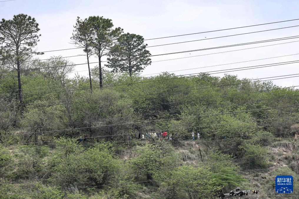 浙江省同德医院黄牛代挂号电话票贩子号贩子网上预约挂号,住院检查加快,巴西里约警方剿匪行动共打死117名嫌疑人