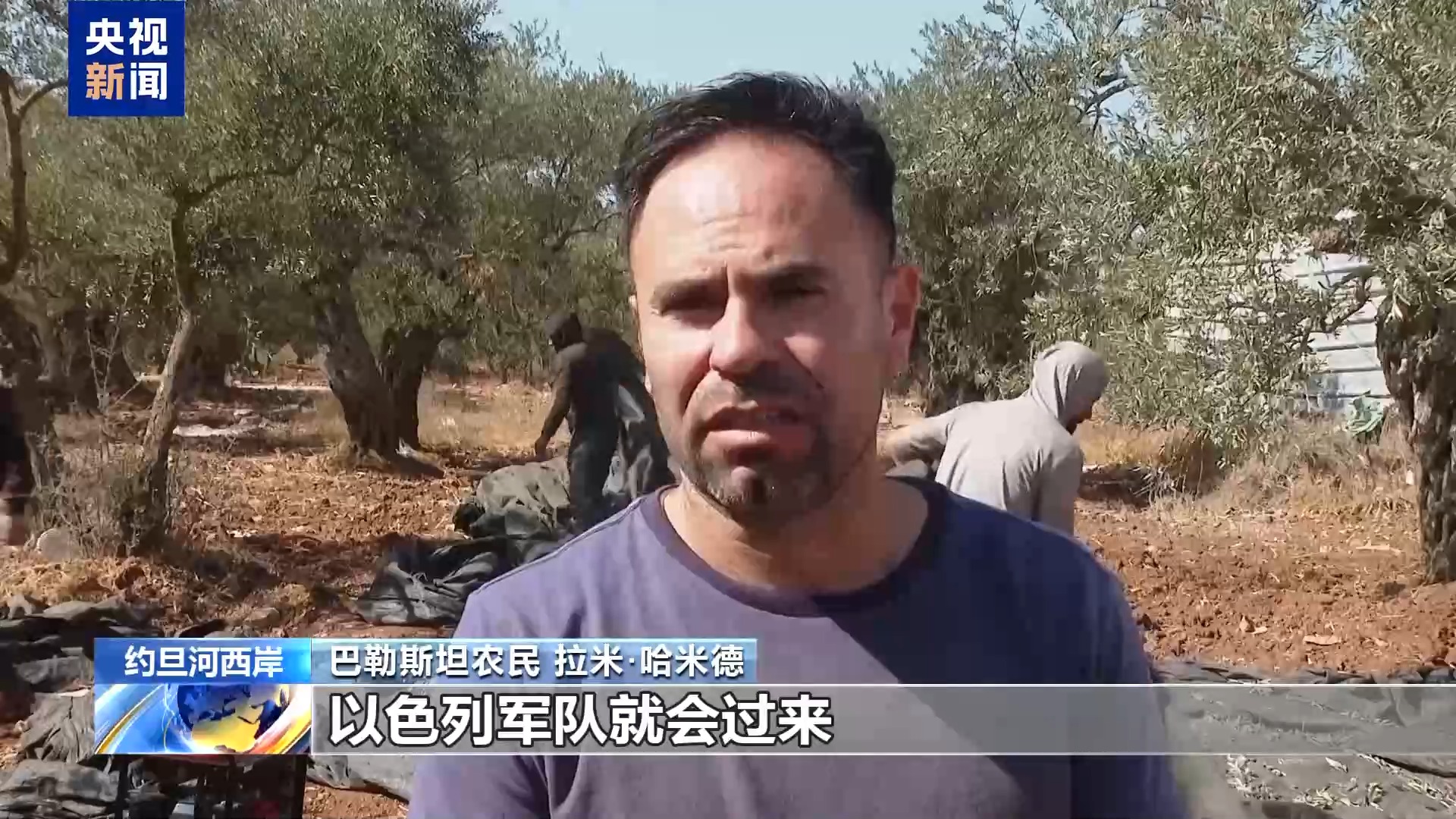 
杭州市妇幼保健院黄牛代挂号电话票贩子号贩子网上预约挂号,住院检查加快,视频丨频遭侵扰 约旦河西岸巴勒斯坦农民橄榄采收遇阻