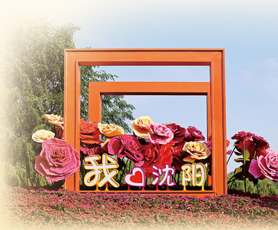 
北医六院黄牛代挂号电话票贩子号贩子网上预约挂号,住院检查加快,沈阳玫瑰绽放城市精神（一朵花读懂一座城）