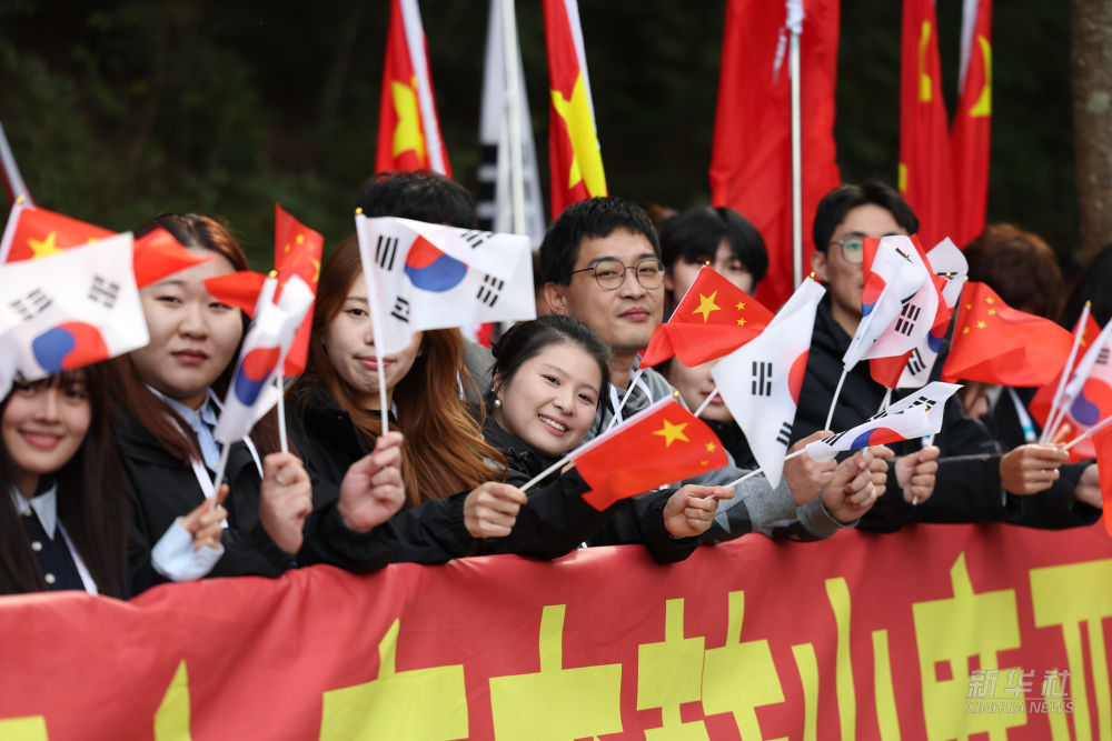 
上海新华医院黄牛代挂号电话票贩子号贩子网上预约挂号,住院检查加快,高清大图｜习近平抵达韩国受到热烈欢迎