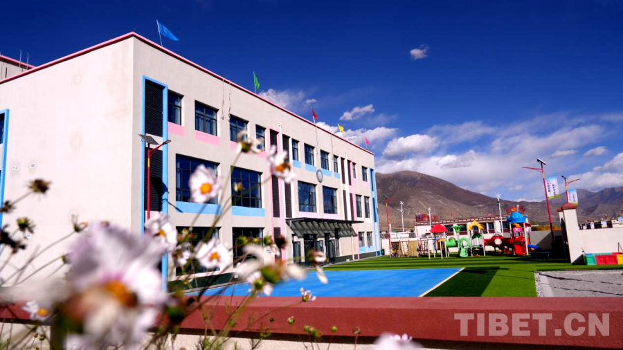 天津各大医院黄牛代挂号电话票贩子号贩子网上预约挂号,住院检查加快,西藏山南:乡村美 生活暖