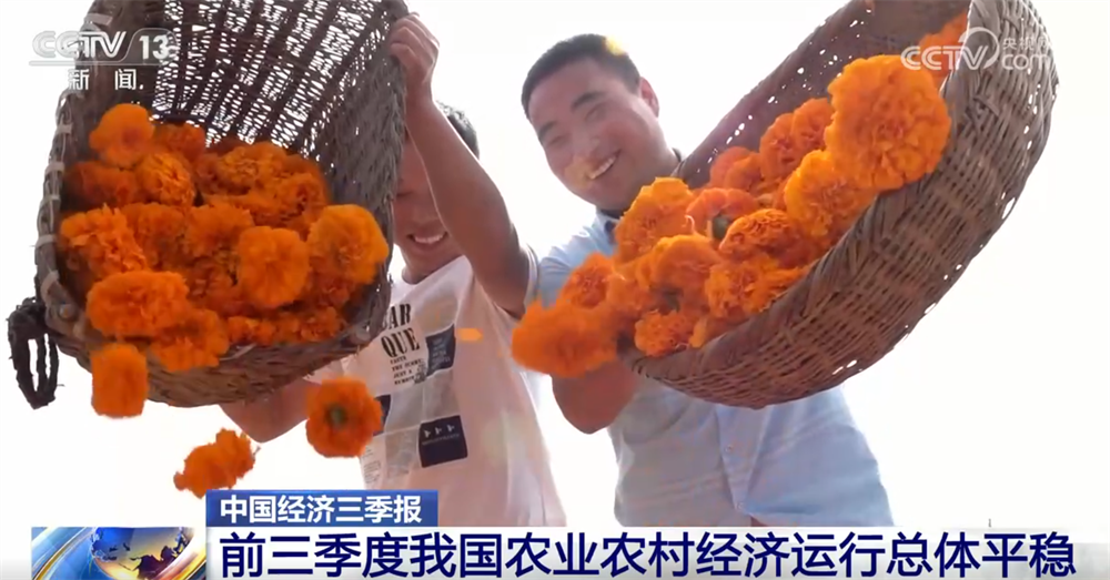 中山大学附属第三医院黄牛代挂号电话票贩子号贩子网上预约挂号,住院检查加快,透过数据看前三季度“三农”成绩单 为经济社会高质量发展提供有力支撑