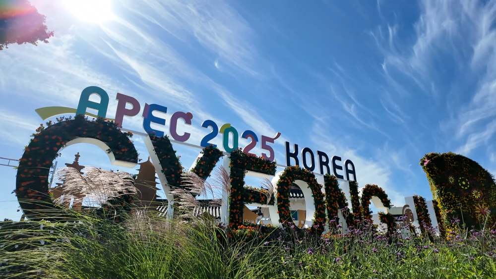 
南京各大医院黄牛代挂号电话票贩子号贩子网上预约挂号,住院检查加快,记者观察｜在APEC会议举办地触摸亚太合作发展新脉动