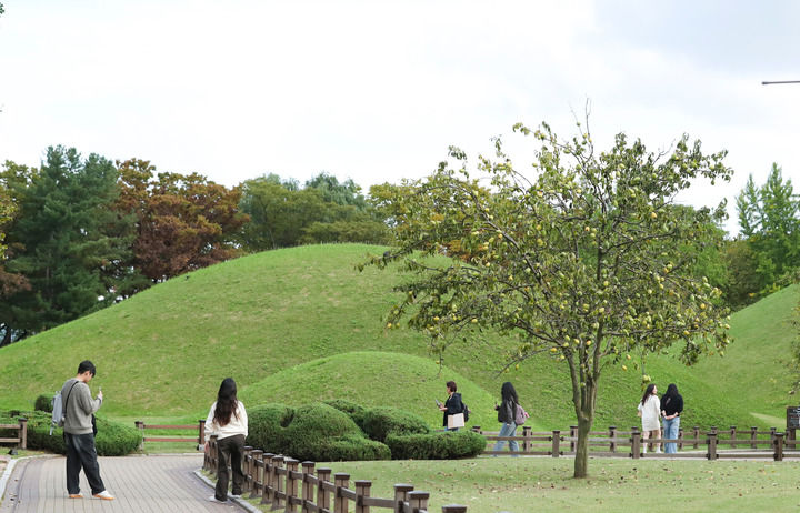 
北京中日友好医院黄牛代挂号电话票贩子号贩子网上预约挂号,住院检查加快,新华走笔丨古城庆州的中国印记