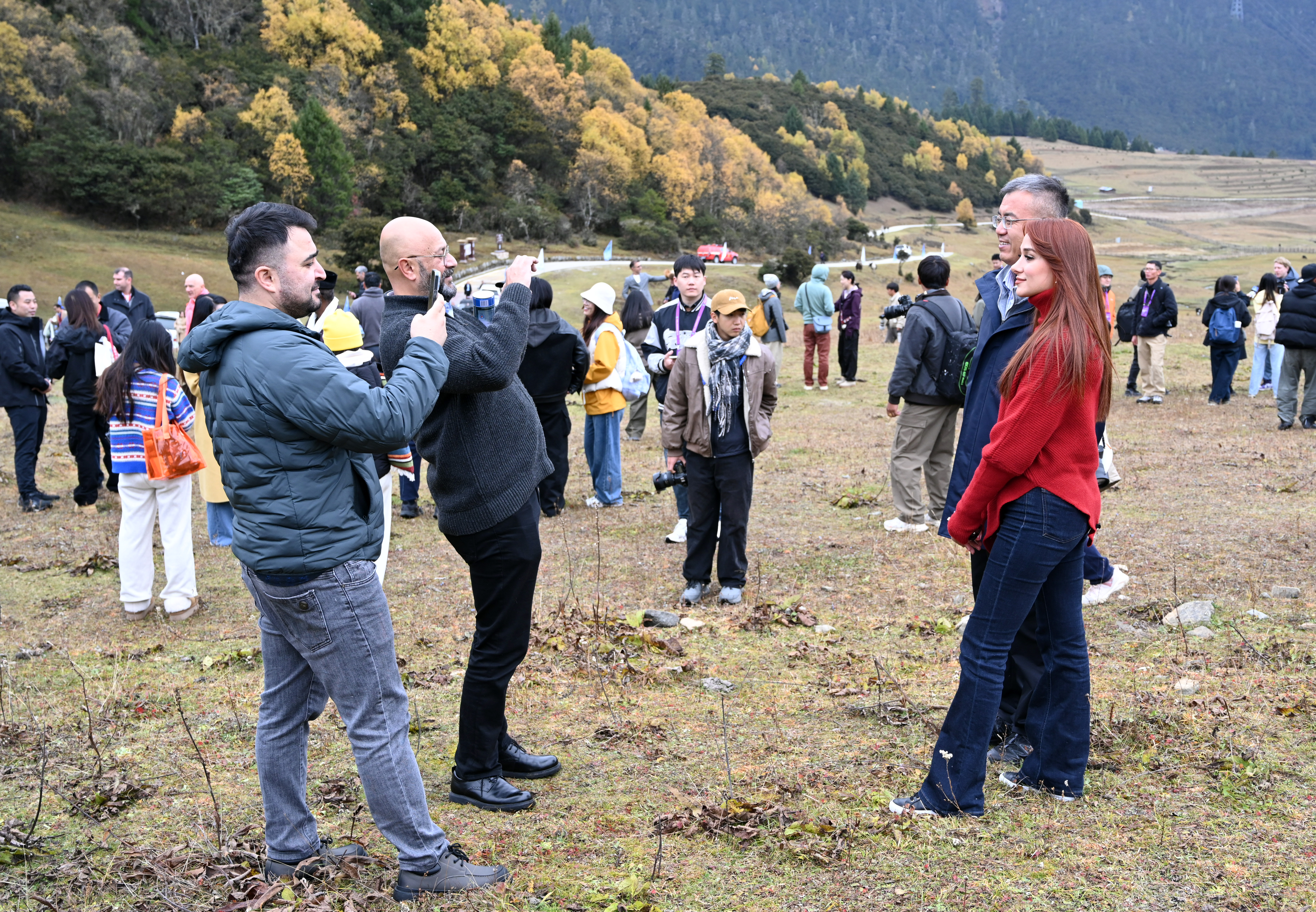 
上海各大医院黄牛代挂号电话票贩子号贩子网上预约挂号,住院检查加快,世界屋脊 绿色华章