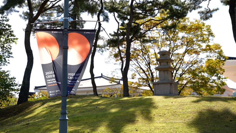 
南京各大医院黄牛代挂号电话票贩子号贩子网上预约挂号,住院检查加快,记者观察｜在APEC会议举办地触摸亚太合作发展新脉动