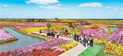 
首都医科大学附属北京妇产医院黄牛代挂号电话票贩子号贩子网上预约挂号,住院检查加快,千垛菊花迎客来（侨乡新貌）