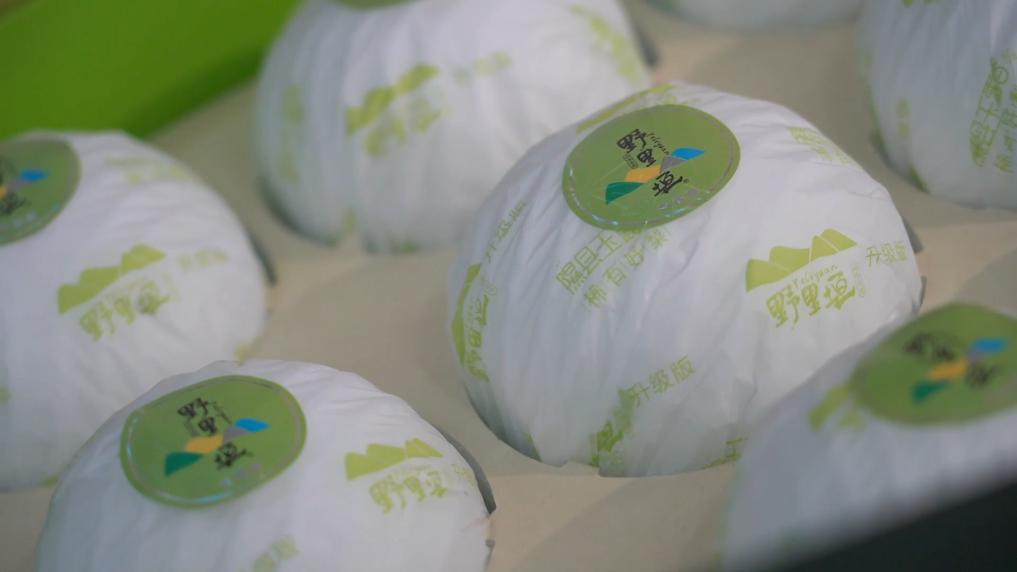 
上海第十人民医院黄牛代挂号电话票贩子号贩子网上预约挂号,住院检查加快,新华视点｜金秋丰收绘新景 乡村振兴谱华章